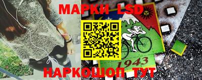 индика Заволжье