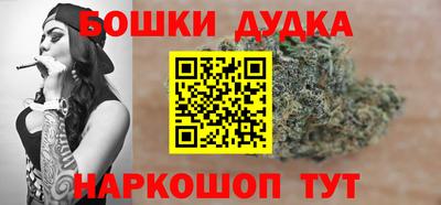 индика Заволжье