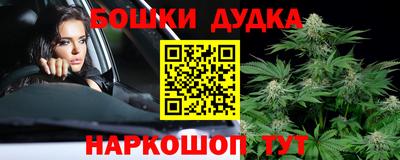 индика Заволжье