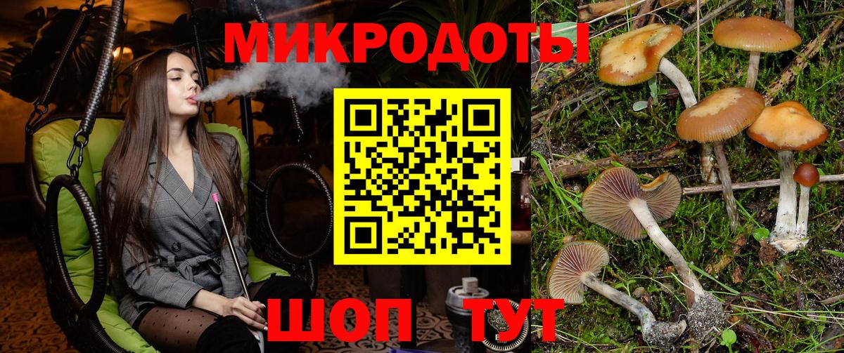 Псилоцибиновые грибы Cubensis  Вход с VPN  Новосибирск 
